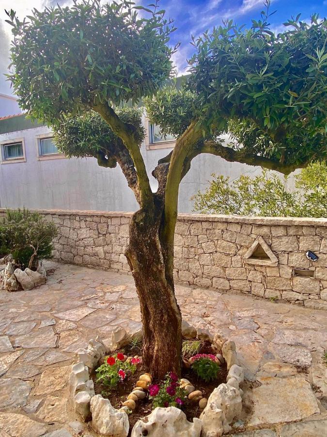 Casa Das Laranjeiras Alqueidão da Serra Εξωτερικό φωτογραφία